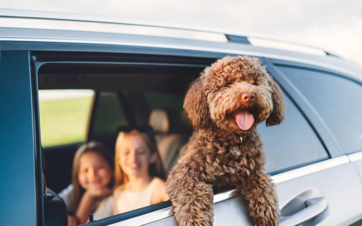 We bring credibility, comfort, and contentment through a simple, stress-free, and transparent process